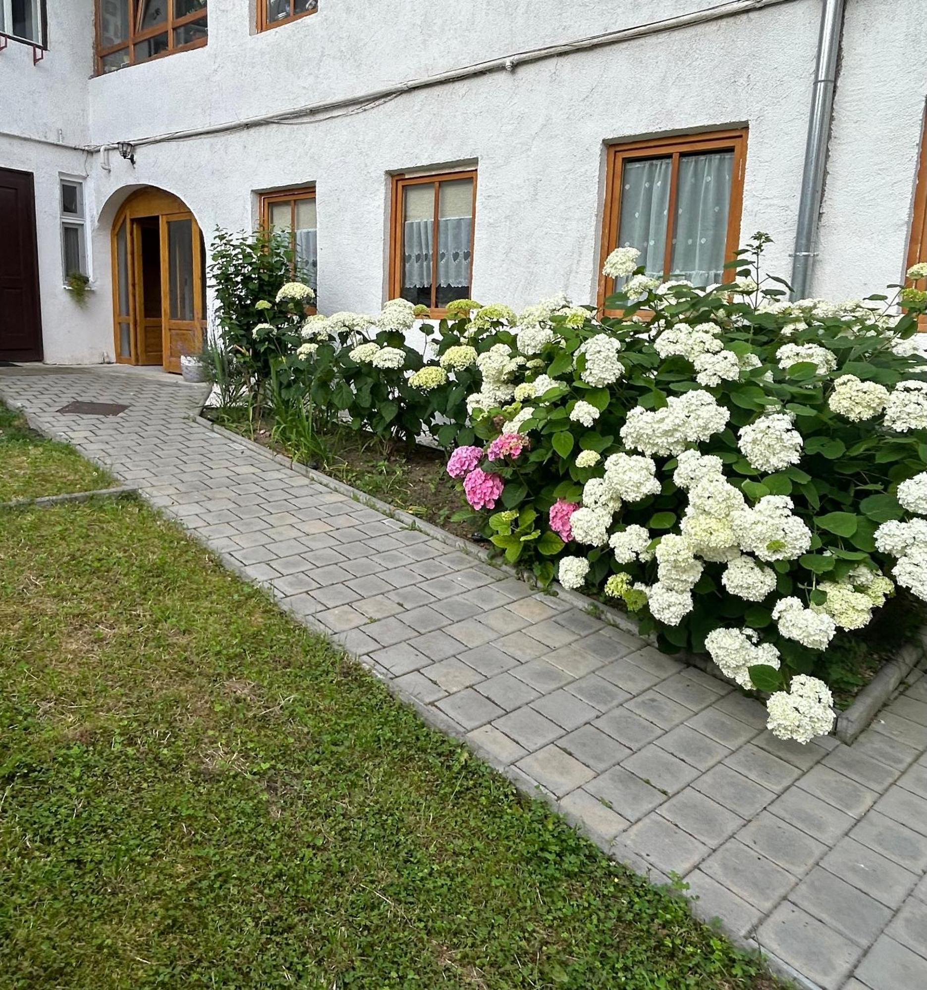 Stone Way Apartment Sibiu Dış mekan fotoğraf